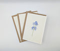 Hand-painted watercolour greeting card featuring a delicate blue delphinium stem with yellow centres on a white background, shown with kraft envelopes